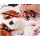 thumbnail image 4 of Disney-pintura de diamantes de Alicia en el país de las Maravillas, bordado de diamantes de imitación DIY, mosaico de fantasía, punto de diamante, EE3151, 4 of 4