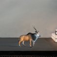 thumbnail image 4 of Modelo de animales salvajes simulados, recuerdo de fiesta, decoración de escritorio coleccionable Modelo de antílope, 4 of 7