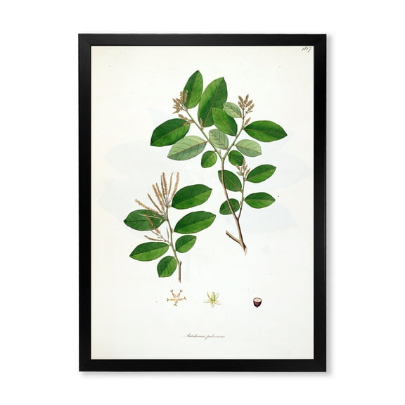 Designart 'Ancient Plant Life XIX' Farmhouse Framed Art Print