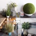 thumbnail image 3 of Vickerman VICK-FX190617 Vickerman 16,5 Pouces Arran Mural Multicolore pour Succulentes - FX190617, 3 of 3