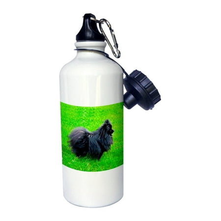 3dRose Infant Gorrilla, Sports Water Bottle, 21oz (Best Bottled Water For Infants)