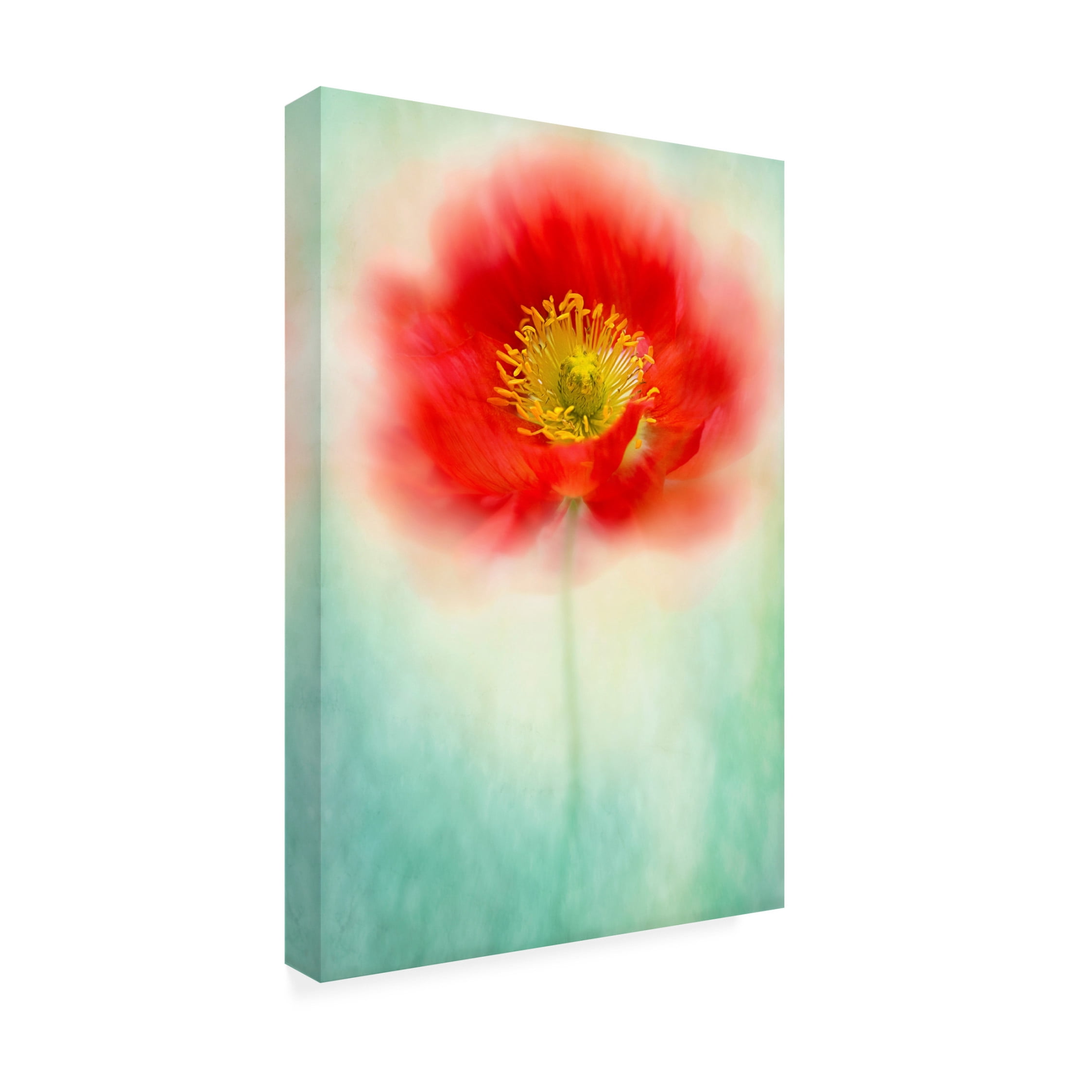 Canvas Wall Art - Jacky Parker 'Sprite' Wall Art for Living Room, Bedroom, or Office Décor by Trademark Fine Art - 30 x 47 Inches