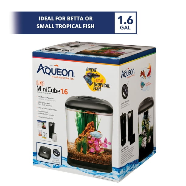 Aqueon Mini Cube Kit Black 1.6 Gallon 1.6 Gallons