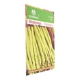 thumbnail image 3 of Semillas Para Siembra Esparrago Verde Germinal, 3 of 3