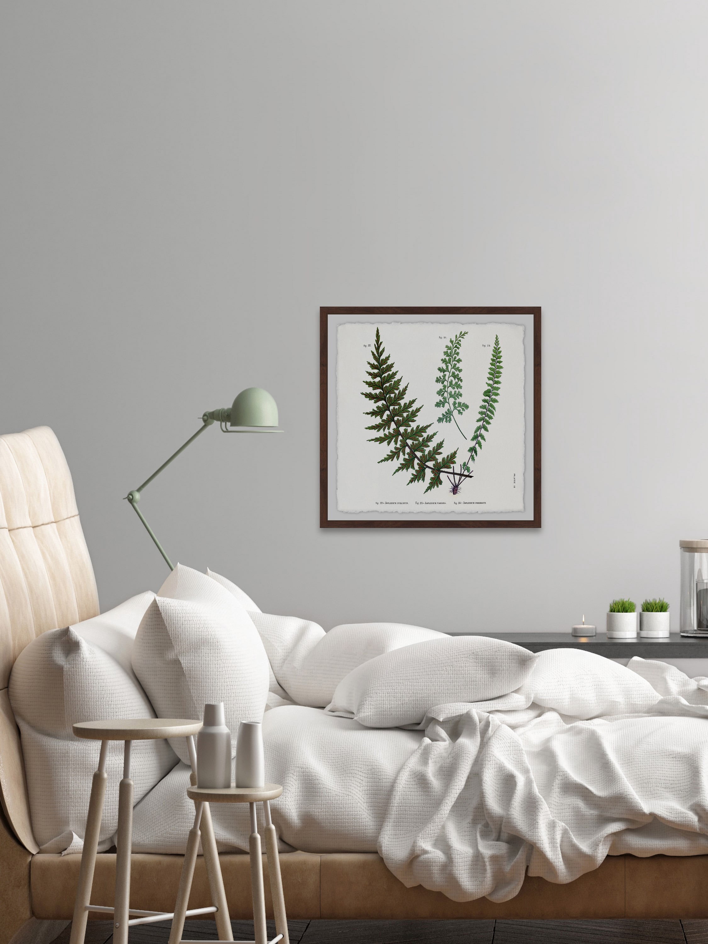 Indian Ferns Framed Painting Print
