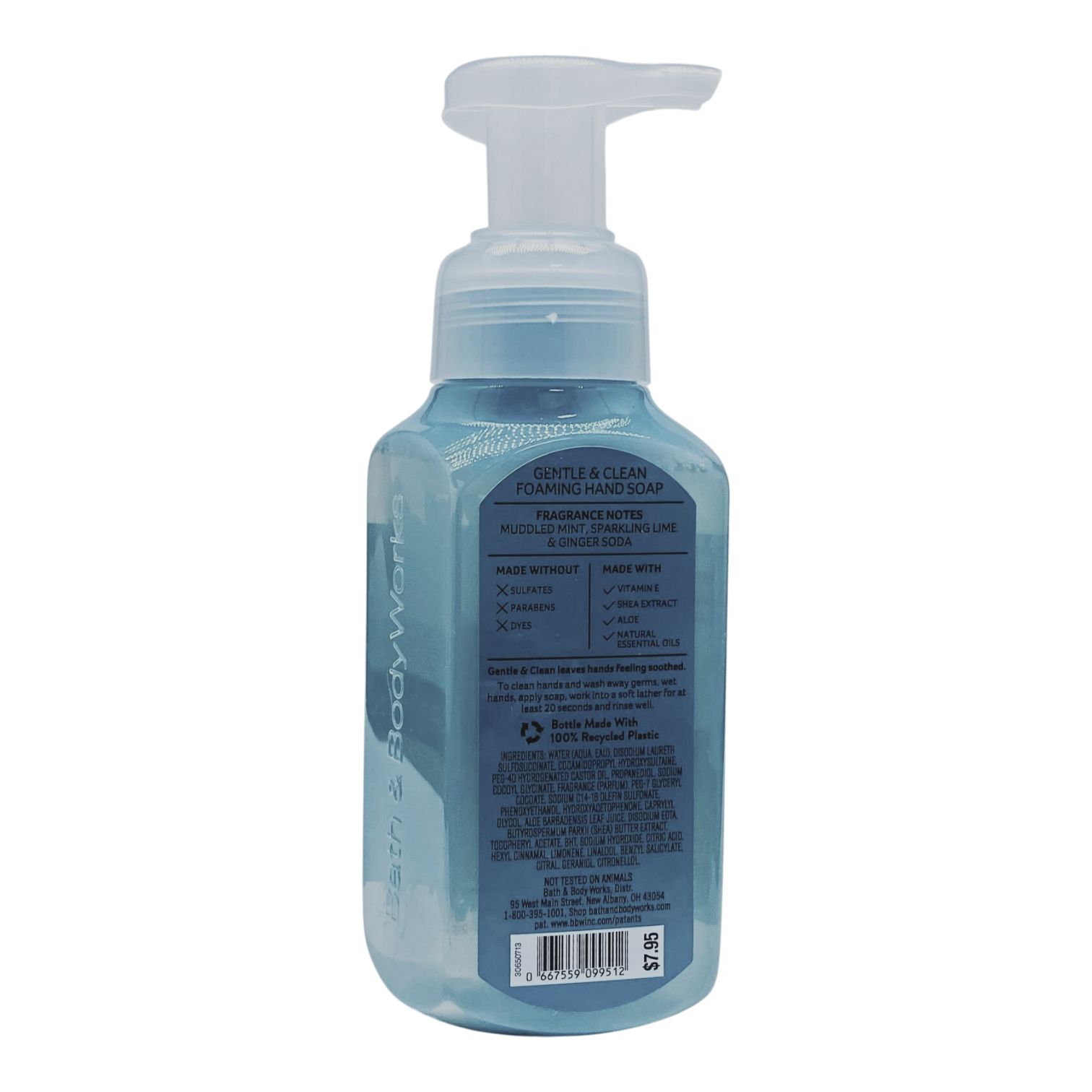 Bath and Body Works COCKTAIL GARDEN Gentle Foaming Hand Soap (8.75 FL OZ / 259 mL)