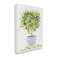 thumbnail image 4 of Stupell Industries Lemon Tree Detailed Planter Food & Beverage Painting Gallery Wrapped Canvas Art Print Wall Art, 30 x 40, 4 of 8