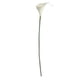 thumbnail image 1 of Bearachild Calla simulada llamativa de PU: agregue elegancia a la decoración del hogar con una gran plenitud y simulación en 3D y un blanco puro Type1 NO1, 1 of 6