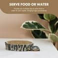 thumbnail image 4 of NUOLUX Para Comida Y Para Reptiles Con Apariencia Natural Y Uso Múltiple, 4 of 8