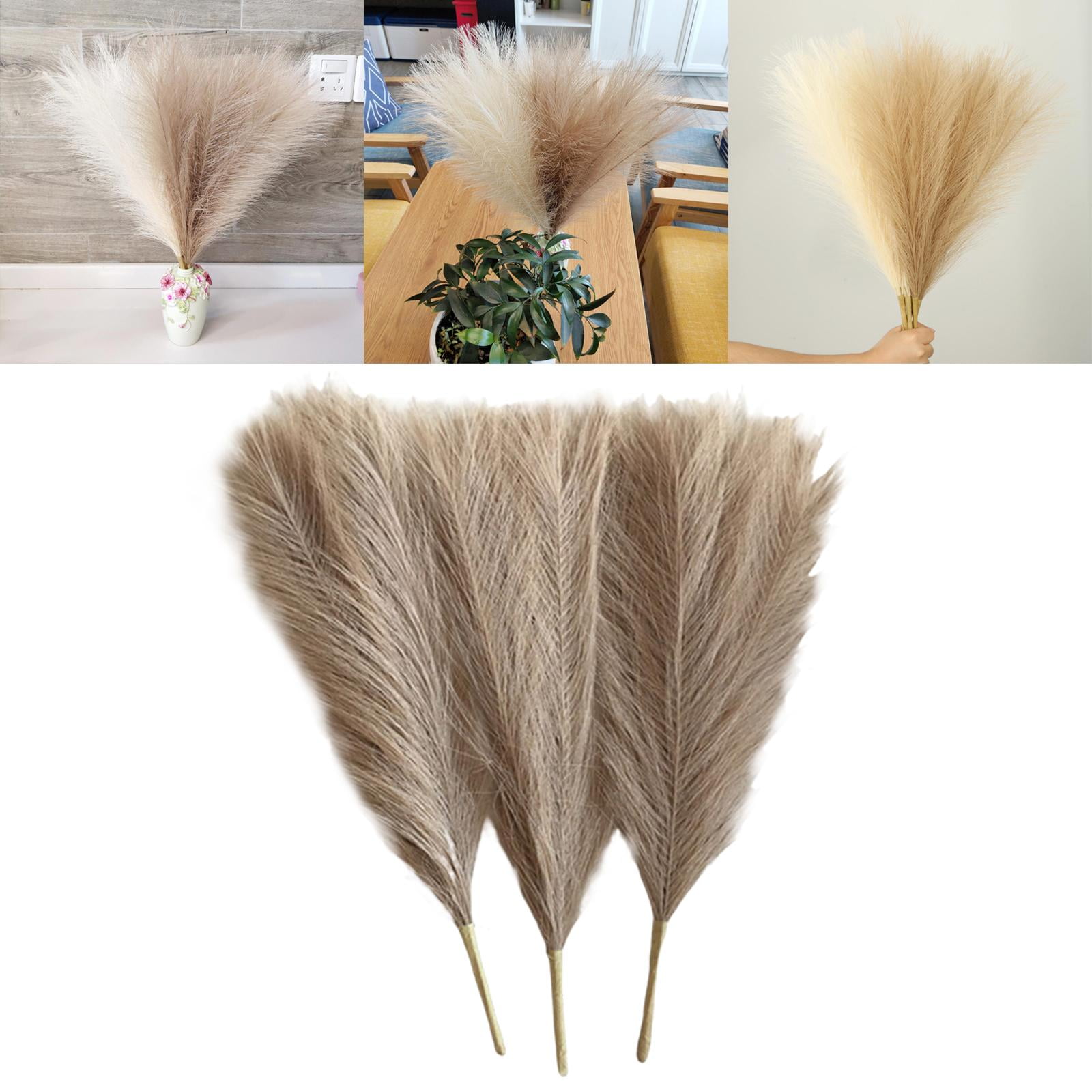 Axioma 9 Pieces Dried Pampas Grass Bohemia Reed Flowers Bunch Home Gift Living Room