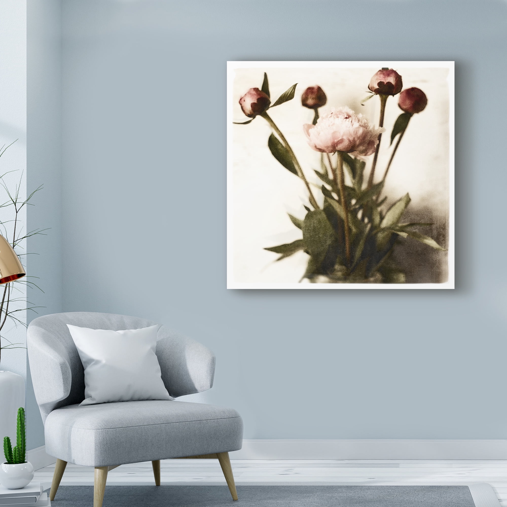 Trademark Fine Art 'Floral Peonies White Soft' Canvas Art by Michael Harrison