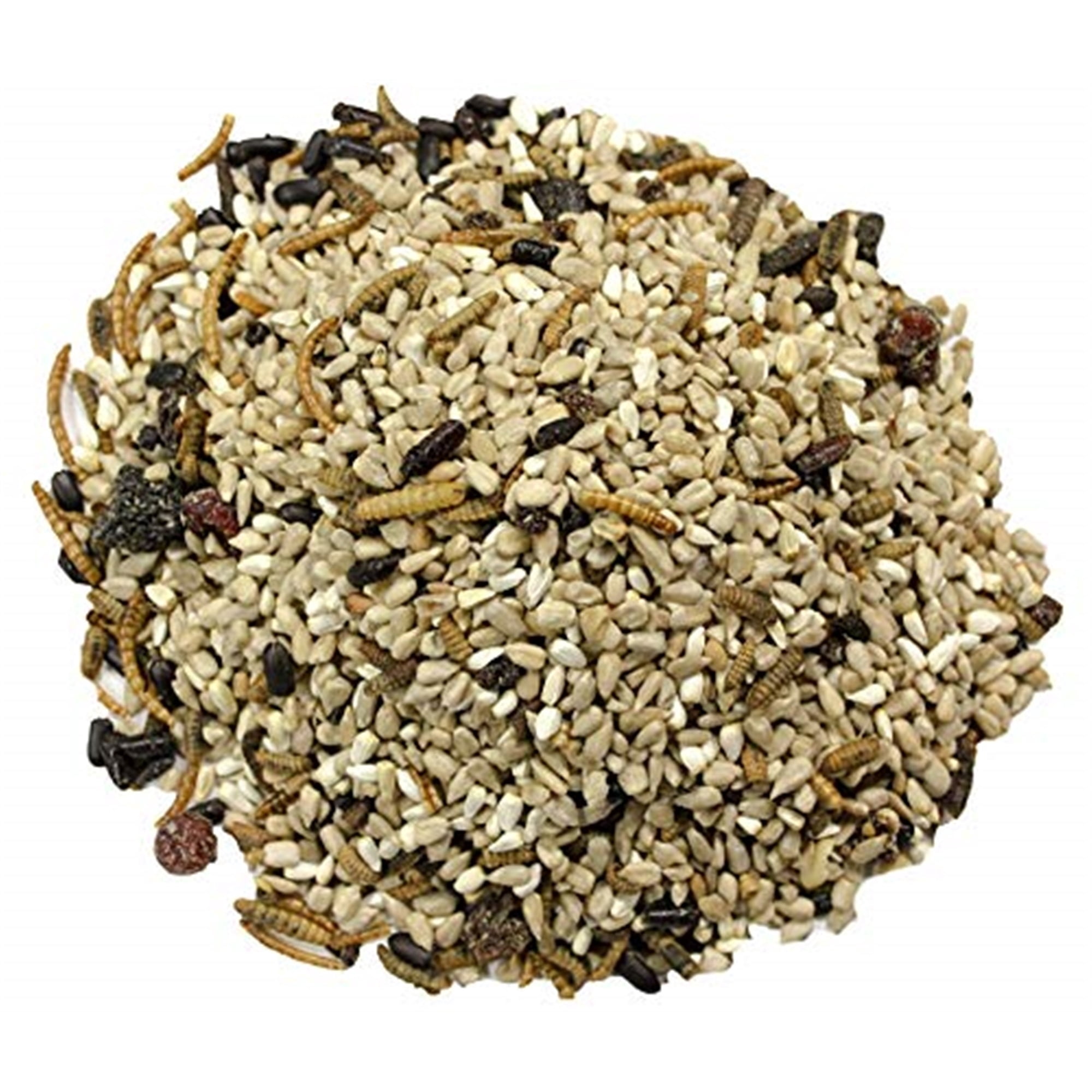 Wild Delight Advanced Formula Bugs N'' Berries Wild Bird Food, 4.5lbs - Premium 3-Bug Blend with Berries