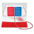 thumbnail image 4 of Learning Resources Pumping Heart Model - Science Classroom Must Haves, STEM, Ages 8+, 4 of 5