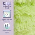 thumbnail image 5 of Warmies Junior 9” Frog Stuffed Animal, Microwavable Heated Plushies and Weighted Soft Plush Toys, 5 of 7