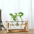 thumbnail image 4 of Grandest Birch Desktop Clear Glass Planter Bulb Vase Terrarium Retro Wood Stand Home Decor Clear Desktop Decor Terrarium Wood Stan, 4 of 8