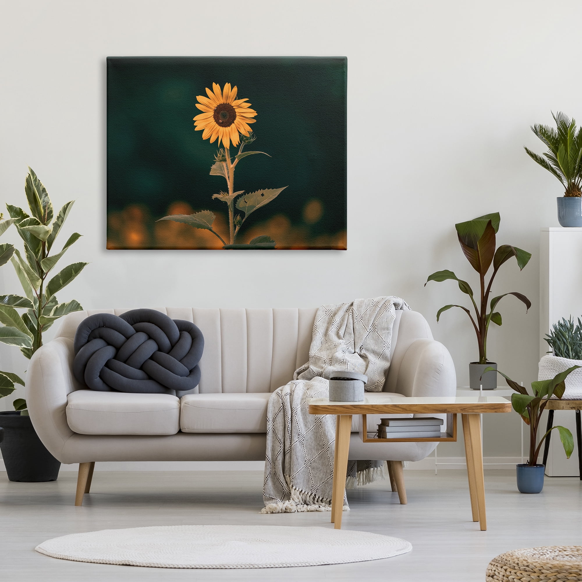 Stupell Industries Dark Sunflower Nature Botanical & Floral Photography Gallery Wrapped Canvas Art Print Wall Art, 48 x 36
