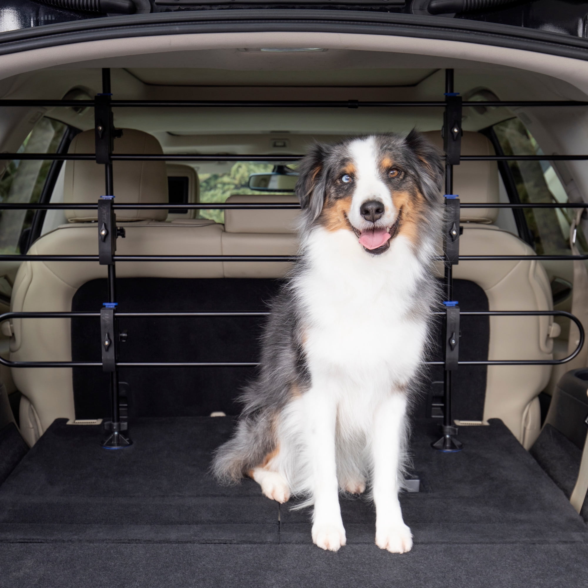 PetSafe Happy Ride Metal Dog Barrier, Adjustable, Simple Setup, Sturdy and Secure, Black