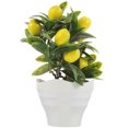 thumbnail image 2 of Simulation Potted Plant Fake Lemon Tree Bonsai Desktop Decor Household Bonsai Decor, 2 of 3