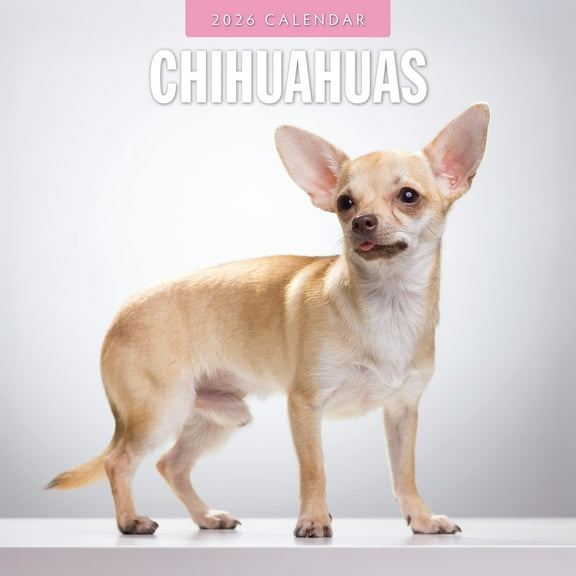 Red Robin 2026 Chihuahuas Monthly Wall Calendar | 12" x 24" Open | Premium Thick & Sturdy Paper | Hangable 12 Month Calendar | Lined Notes & To Do Area | Vivid Images | Plastic Free