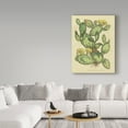 thumbnail image 3 of Trademark Fine Art 'Herbal Botanical XXIX' Canvas Art by Wild Apple Portfolio, 3 of 3