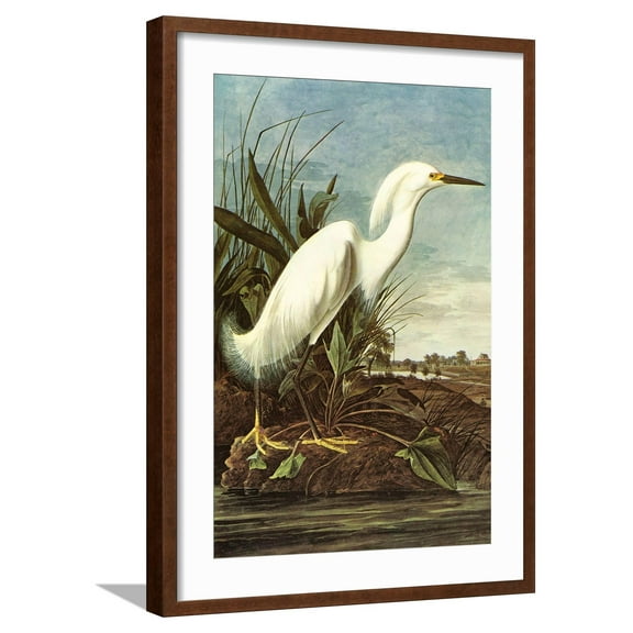 Art.com Snowy Egret Art Print by John James Audubon, Brown Frame Wall Art, 21" x 29"