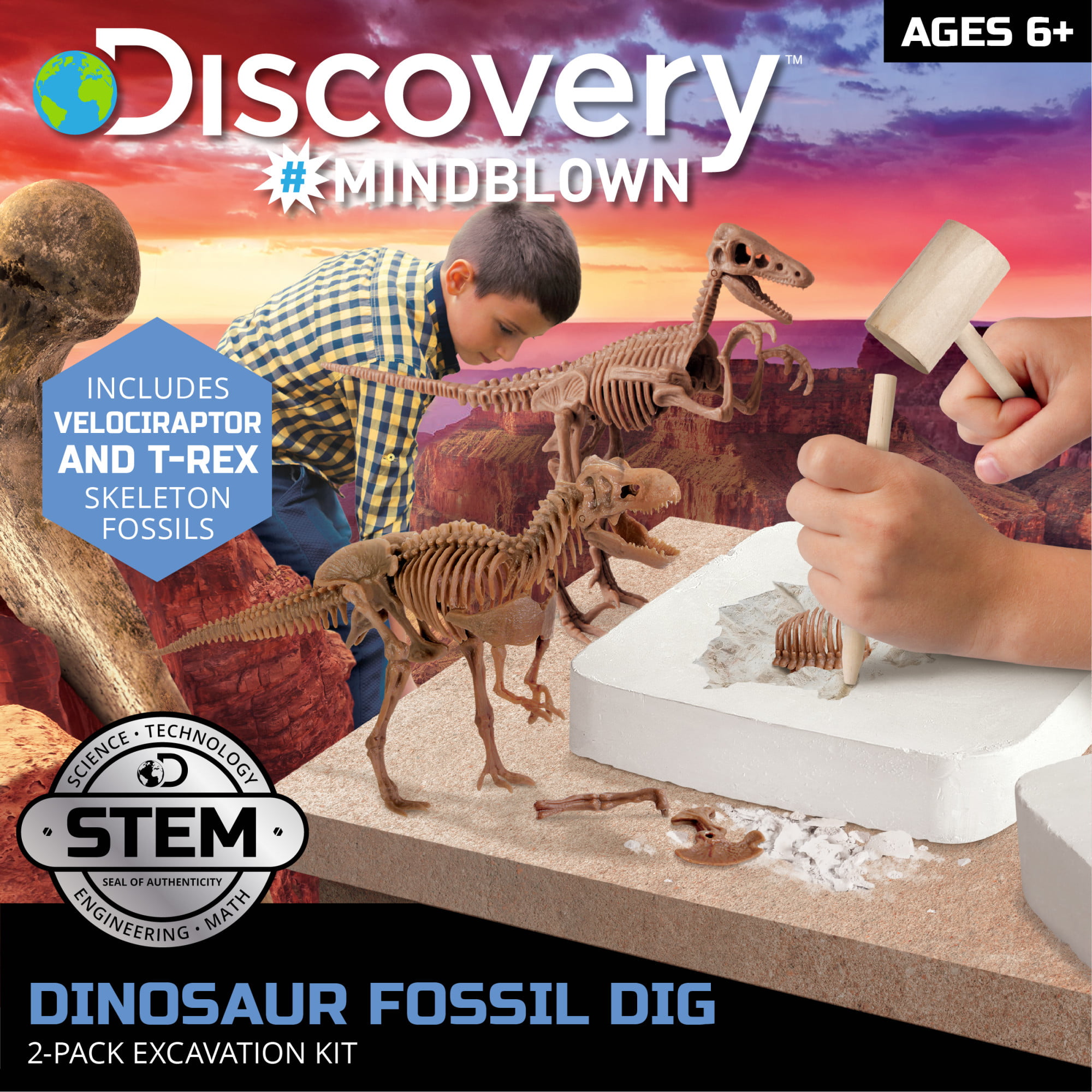 Discovery Channel T-Rex Dinosaur Fossil Skull Bone Glow Night Light Lamp Decor 