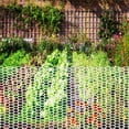 thumbnail image 5 of y Plastic Chicken Wire Fence Floral Netting White 1 Inch, 5 of 5
