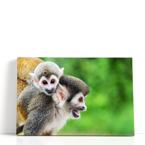 Mother Squirrel Monkey With her Child - Wrapped Canvas Print Wall Art | 18" W x 12" H
