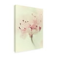 thumbnail image 2 of Judy Stalus 'Flowers Aglow V' Canvas Art, 2 of 3
