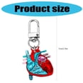 thumbnail image 5 of Osdhezcn Anatomical Heart Keychain Educational Human Heart Charm for Physical Enthusiasts, 5 of 8