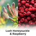 thumbnail image 2 of Air Wick Plug in Scented Oil Refill, 5 ct, Lush Honeysuckle and Raspberry, Air Freshener, Essential Oils, Spring Collection, 2 of 3