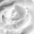 thumbnail image 6 of Clinicals- Moisturizing Day & Night Cream Set With Retinol 1.7 oz, 6 of 6