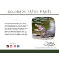 thumbnail image 3 of Monkey Farts - Colorado Gator Farts Candle, 3 of 3