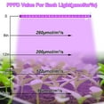 thumbnail image 5 of Rosnek Led Grow Lights Strips for Indoor Plants, Red Blue Full Spectrum 42-288 LEDs Plant Lamp with Auto Timer for Shelves Hydroponics Succulent, 5 of 8