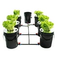 thumbnail image 3 of DWC Hydroponics Growing System, Multi Barrel Hydroponic Machine, 5 Gallon 6 Buckets Hydroponics Growing System Recirculating Growing Kit with Water Exchange Bucket, 3 of 10