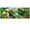 STYLE 1, variant on Rainforest Backdrop 18x6ft Large Tropical Forest Waterfall Animal Print Polyester Background for Birthday Party Photo Booth Studio Decor