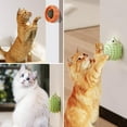 thumbnail image 6 of LANFENG Catnip Licking Ball 3-Pack, Stick-on Wall Toy for Massage & Grooming, Indoor Cats, Hedgehog, 6 of 9
