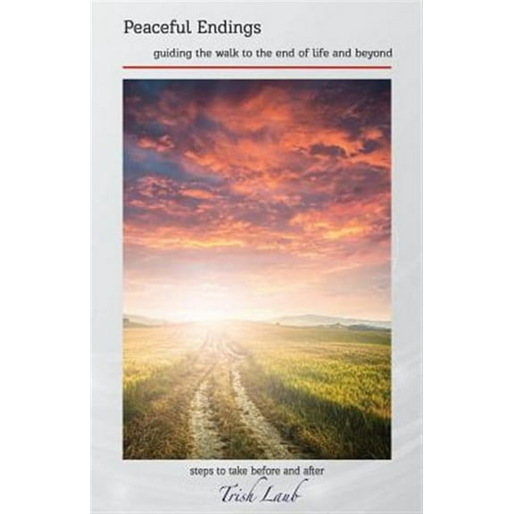 Comfort in Their Journey: Peaceful Endings: guiding the walk to the end of life and beyond (Paperback)