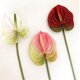 thumbnail image 4 of Rikyo 26 ""Flores Artificiales De Lirio Anturio Flor Permanente 3 Piezas Ramos De Flores De Plantas De Imitación Tropical Para Centros De Mesa Y Flores De Decoración De Festivales De Bodas Nupciales ( Rikyo NA, 4 of 5