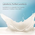 thumbnail image 4 of Nutricology Laktoferrin Supplement - Lactoferrin Supplements 350mg, Bovine Colostrum, Immune Peptide, Iron Supplements, Vegicaps - 120 Count, 4 of 7