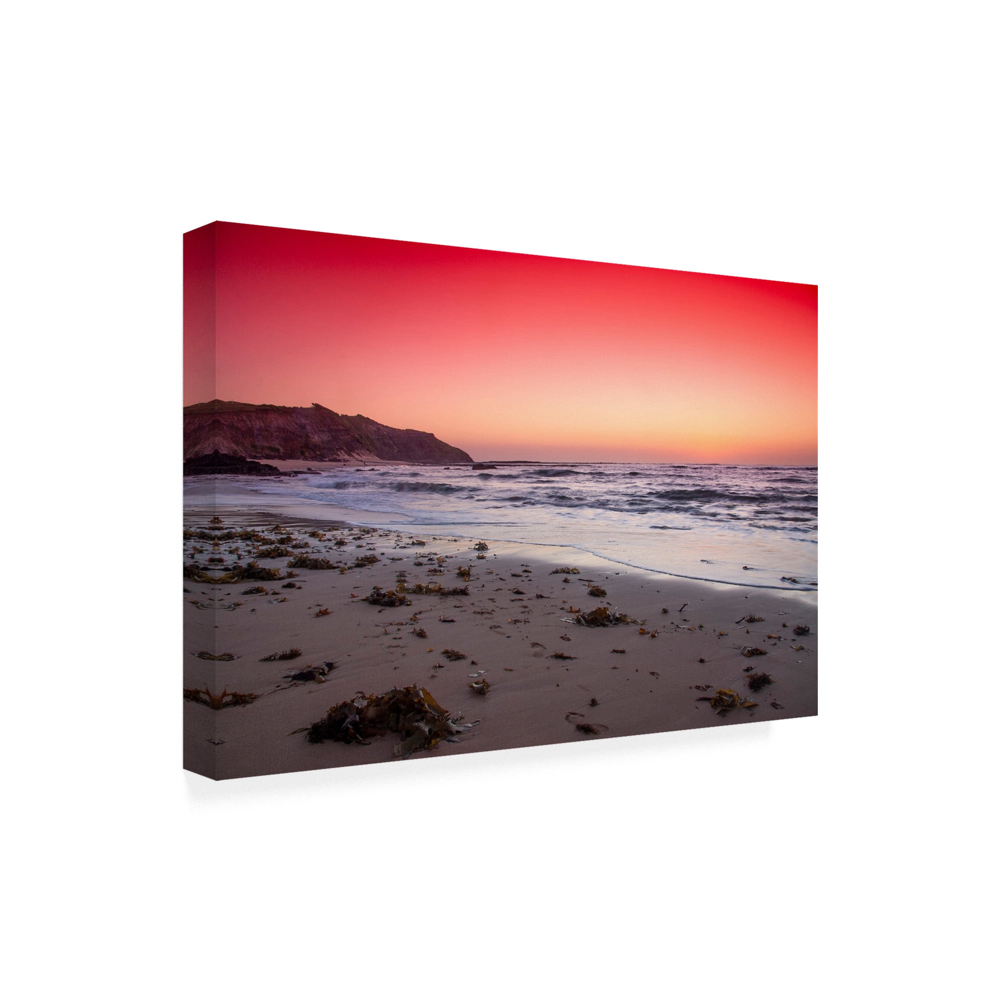 Trademark Fine Art 'BC Red Sunrise' Canvas Art by Beata Czyzowska Young