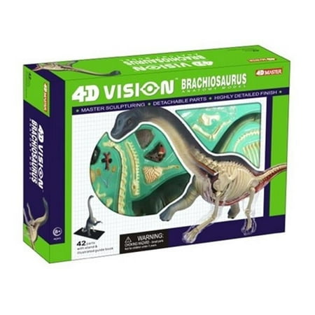Tedco Toys 4D Vision Brachiosaurus Anatomy Model