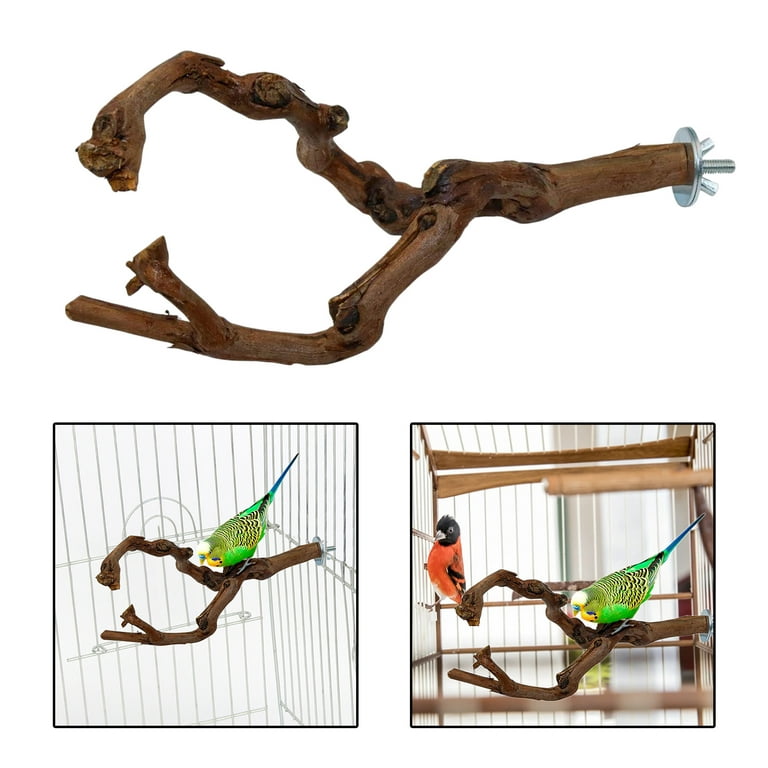 Natural Parrot Bird Stand Tree Branch Pet Budgie Toys Pet Supplies Perches  Cage Two Branches 