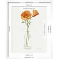 thumbnail image 5 of Art.com California Poppy Vase II Art Print by Grace Popp, White Frame Wall Art, 17" x 21", 5 of 5