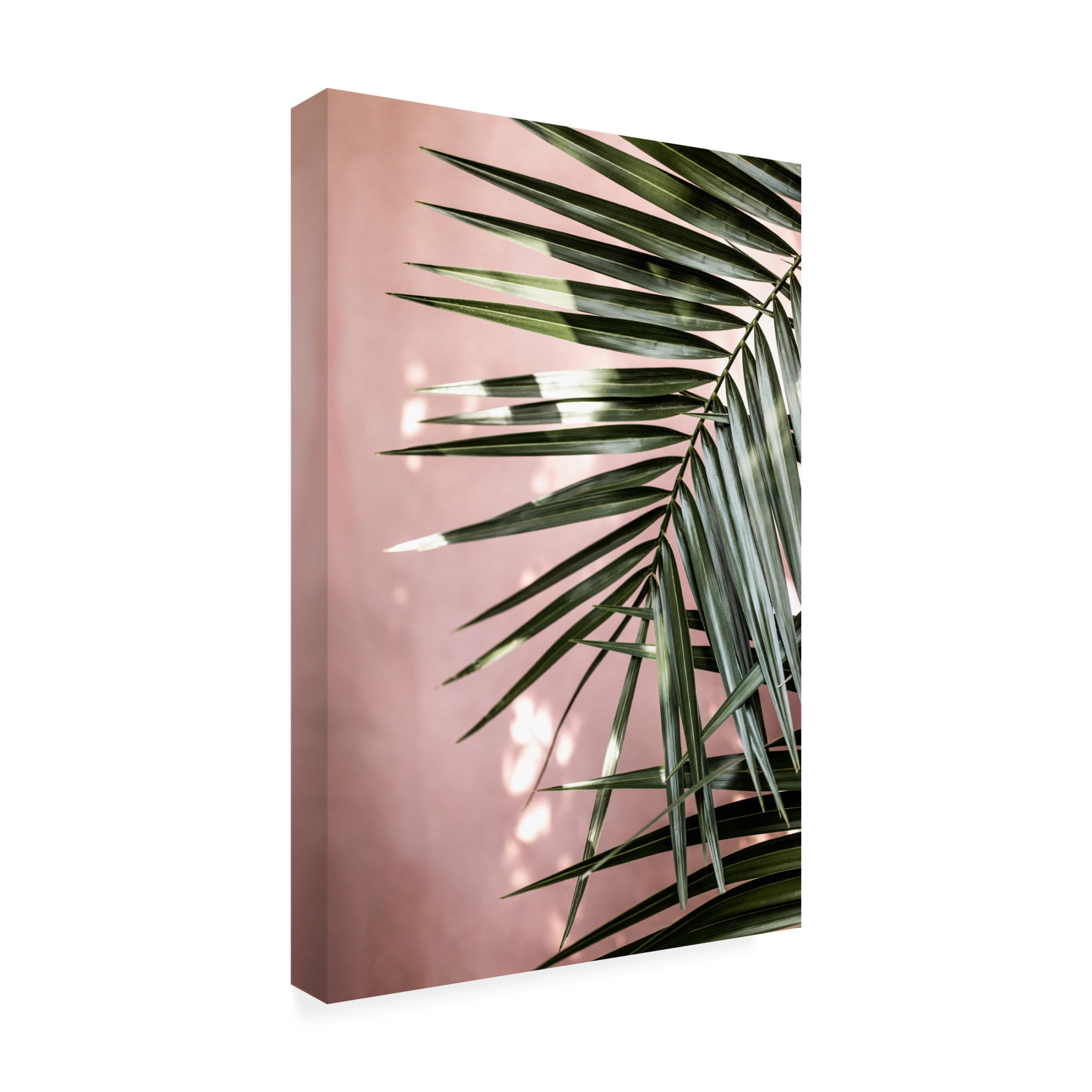 Trademark Fine Art Mareike Bohmer  Palm Leaves 23 Canvas Wall Art