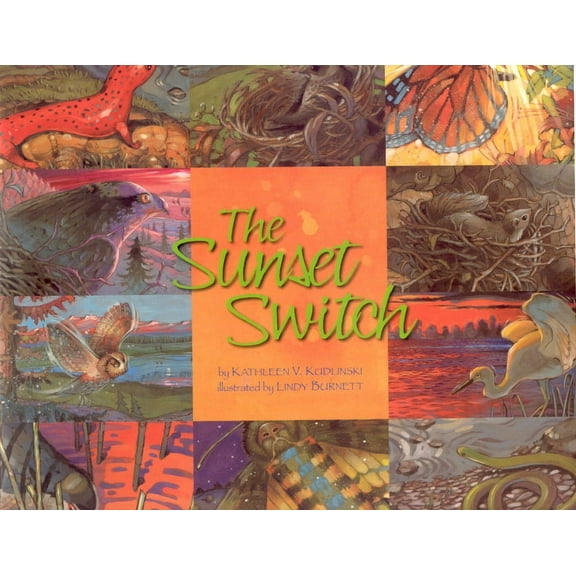 The Sunset Switch (Hardcover)