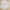 White, variant on Sakmal Swimsuit Bikinis 4 Piece Brown High Waisted Swimwear Padded Halter Push Up Triangle Swimsuit Sets