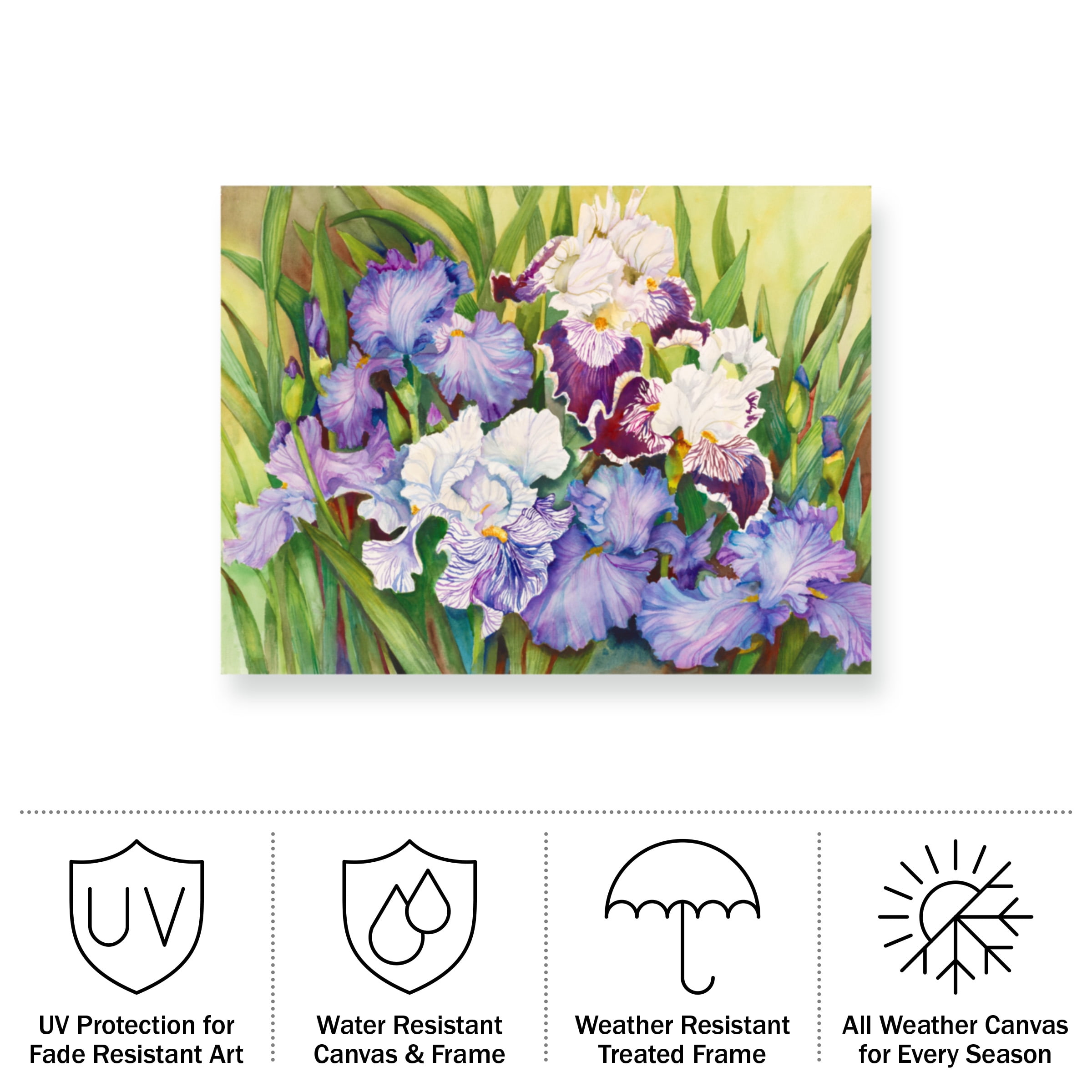 Joanne Porter 'Irises In Shades Of Lavender' Outdoor Canvas 14x19
