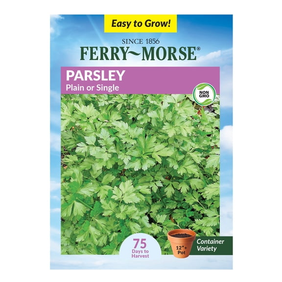 Ferry-Morse 820MG Parsley Plain or Single Annual Herb Seeds, Full Sun