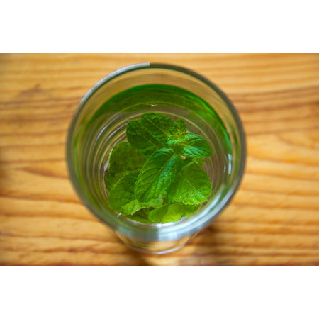 Canvas Print Green Mint Leaf Medicine Glass Liquid Lemon Stretched Canvas 10 x